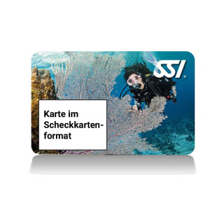 Brevetkarte SSI