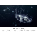 BlueMarlin Kalender 2026