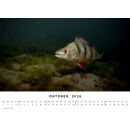 BlueMarlin Kalender 2026