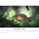 BlueMarlin Kalender 2026