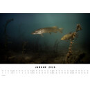 BlueMarlin Kalender 2026