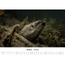 BlueMarlin Kalender 2026