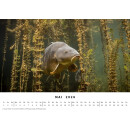 BlueMarlin Kalender 2026