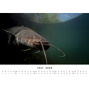 BlueMarlin Kalender 2026