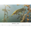 BlueMarlin Kalender 2026