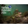 BlueMarlin Kalender 2026