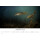 BlueMarlin Kalender 2026