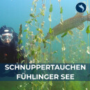 Schnuppertauchen Fühlinger See...