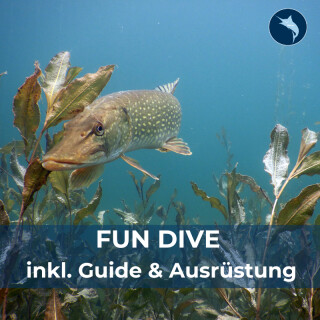 Fun Dive im Fühlinger See inkl. Guide und Ausrüstung (Wert-/Mehrzweckgutschein)