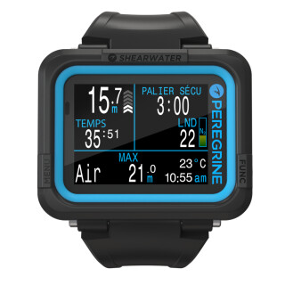 SHEARWATER PEREGRINE