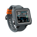 SHEARWATER PEREGRINE