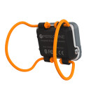 SHEARWATER PEREGRINE