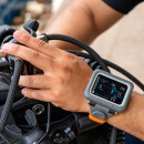 SHEARWATER PEREGRINE