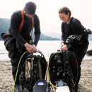 SHEARWATER PEREGRINE