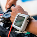 SHEARWATER PEREGRINE