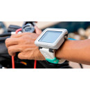 SHEARWATER PEREGRINE