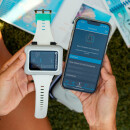 SHEARWATER PEREGRINE