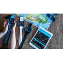 SHEARWATER PEREGRINE