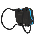 SHEARWATER PEREGRINE