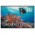 SSI Pack Dive Professional