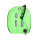 lizard green